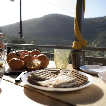 Elaia Retreat In Nature