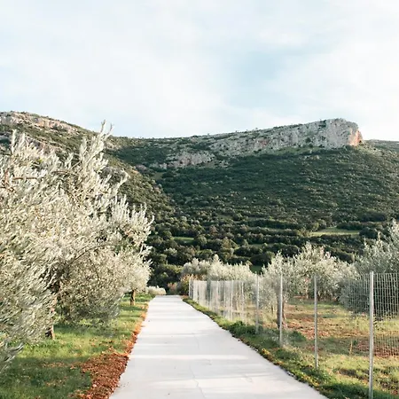 Elaia Retreat In Nature