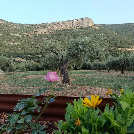 Elaia Holiday home Fregkena