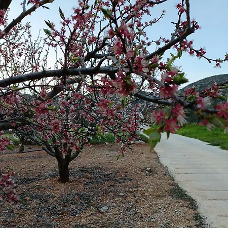 Elaia Retreat In Nature * Fregkena