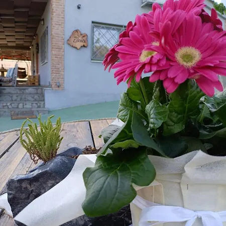 Elaia Holiday home *