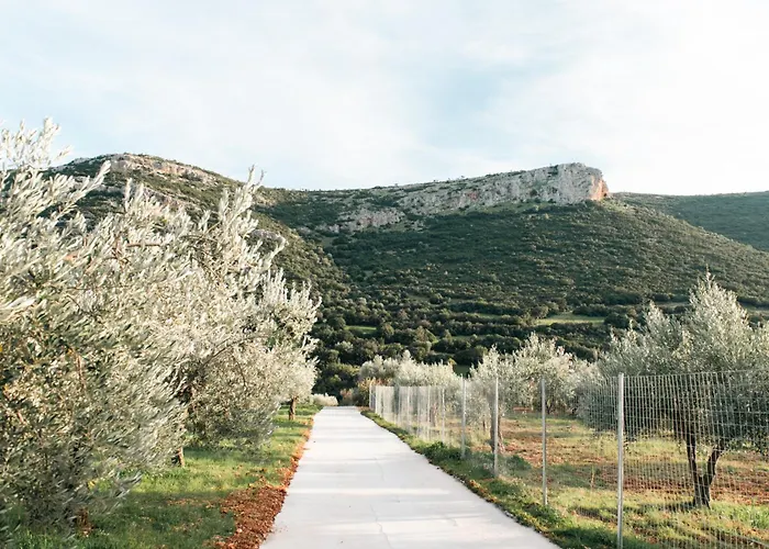 Elaia Retreat In Nature