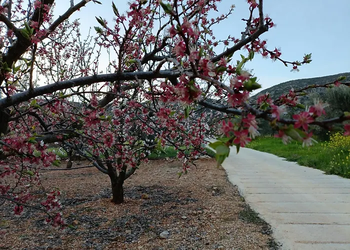 Elaia Retreat In Nature * Fregkena