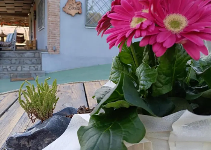 Elaia Retreat In Nature 펜션 *